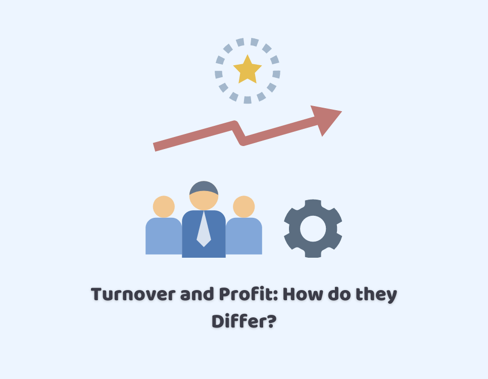 turnover and profit