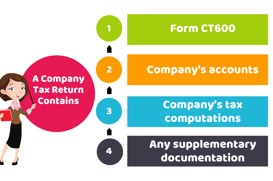 A Company Tax Return Contains