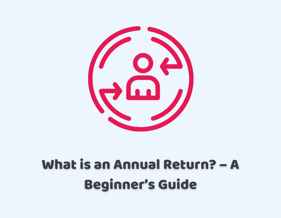 What is an Annual Return