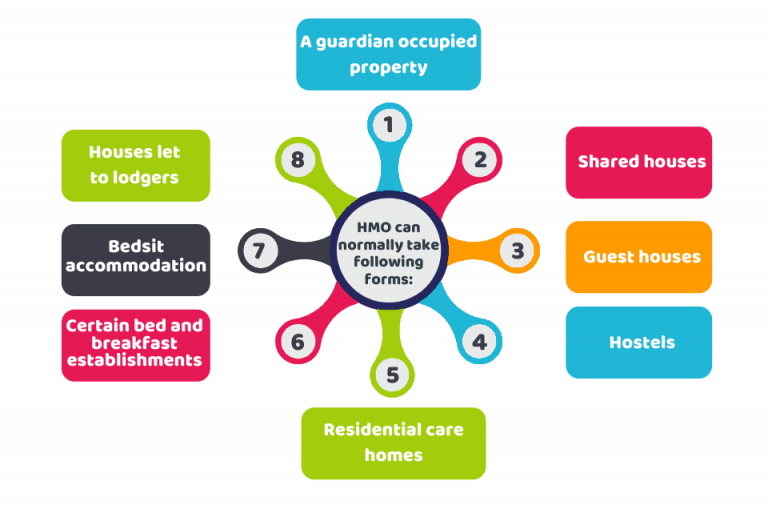 What is HMO? A Basic Guide for Beginners CruseBurke