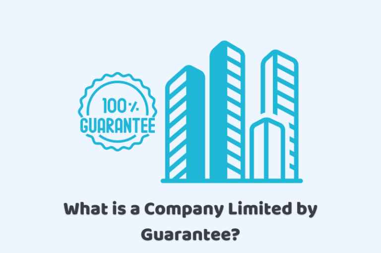 Advantages & Disadvantages of a private Limited Company CruseBurke