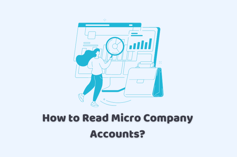 how to read micro company accounts