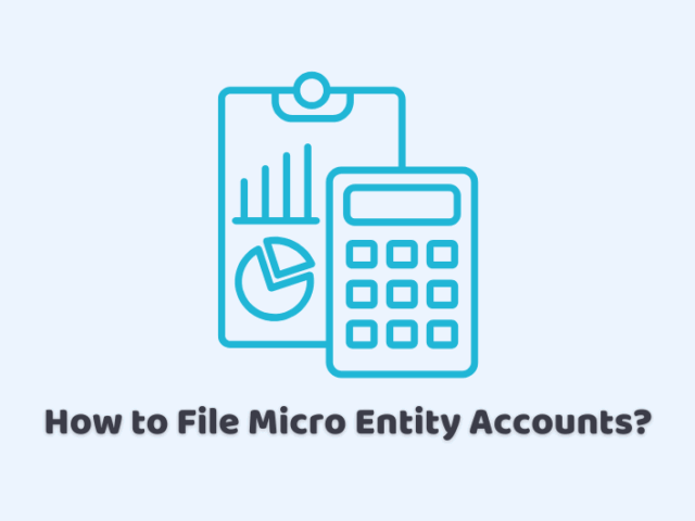 How to File Micro Entity Accounts